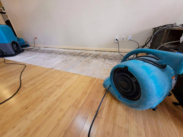 Professional Structural Drying technician working in Decatur, MS